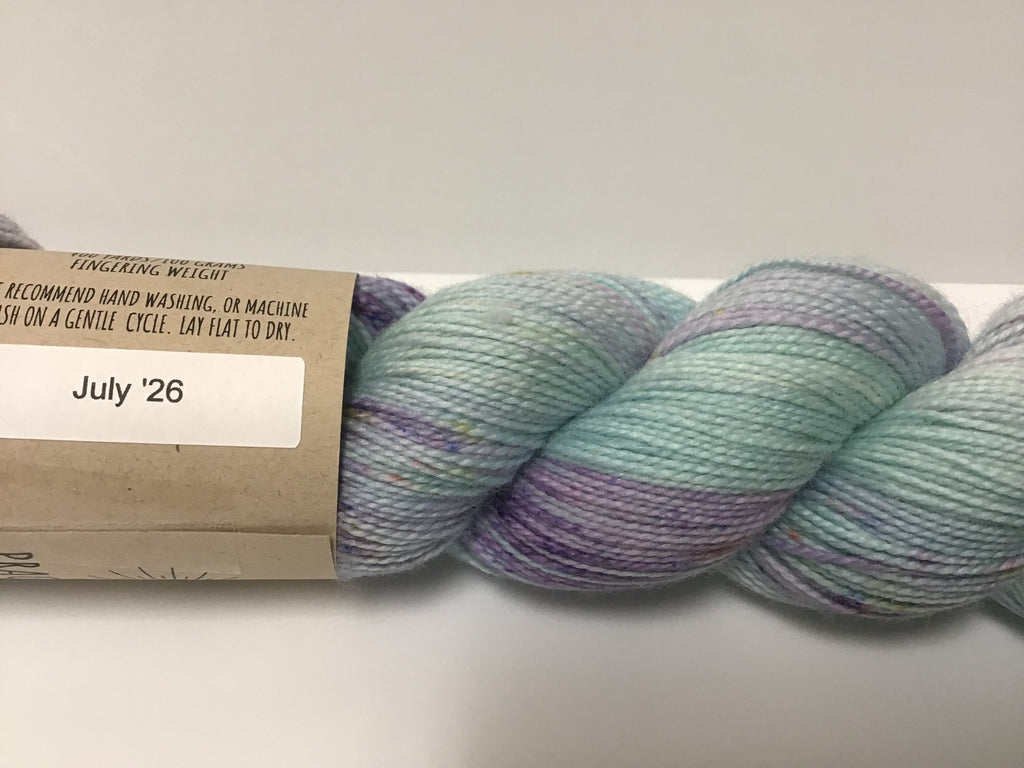 Practically Perfect Sock