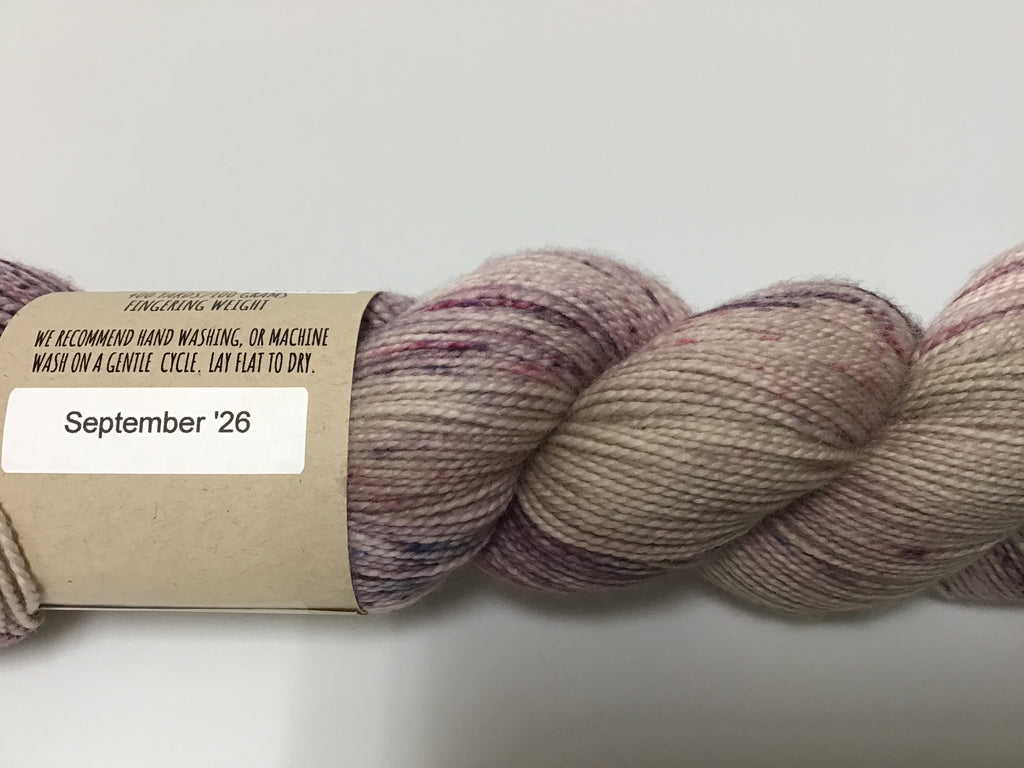 Practically Perfect Sock